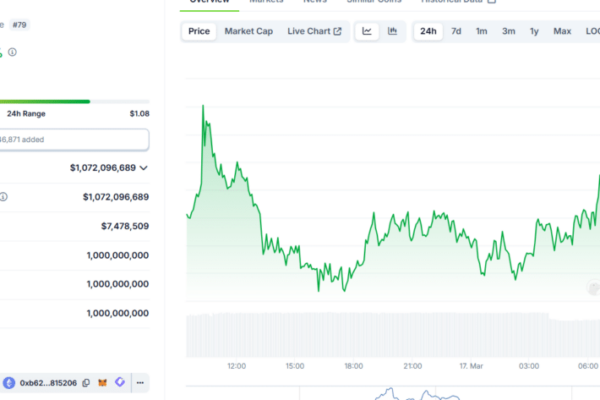 Taking A Look At 2 Underdog Cryptos: When Will Crypto Go Back Up?